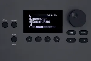 Roland GO:KEYS 5 Keyboard s dynamikou Graphite