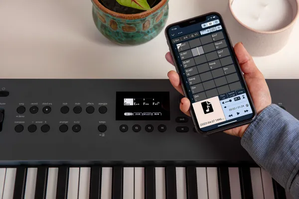 Roland GO:KEYS 5 Keyboard s dynamikou Graphite