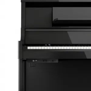 Roland LX-9 Digitálne piano Polished Ebony