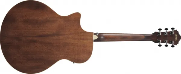 Ibanez AE100-DBF