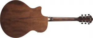 Ibanez AE100-DBF