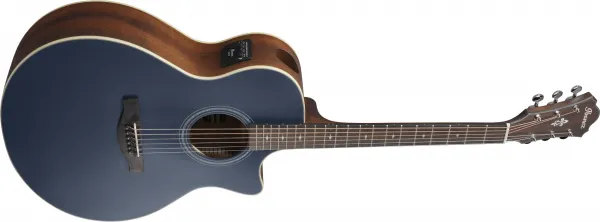 Ibanez AE100-DBF