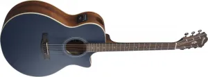 Ibanez AE100-DBF
