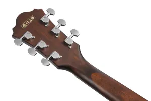 Ibanez AE100-DBF