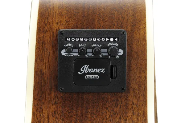 Ibanez AE100-DBF