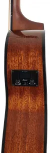 Ibanez AEG70L-TIH