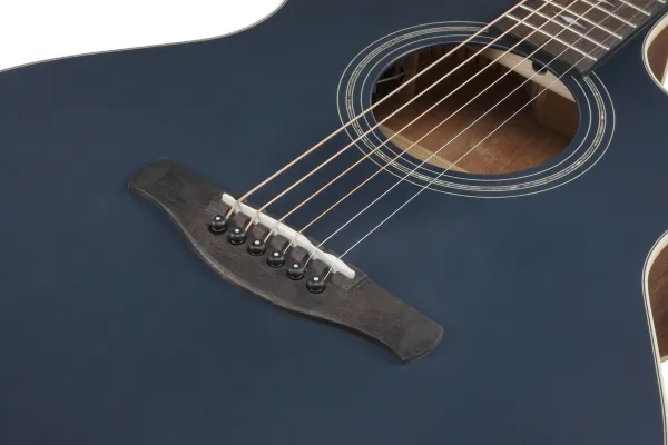 Ibanez AE100-DBF