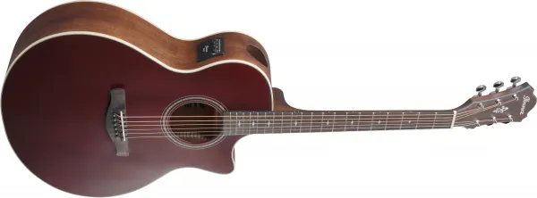 Ibanez AE100-BUF