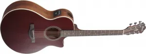 Ibanez AE100-BUF