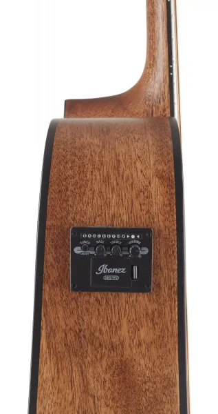 Ibanez AW 65ECE LG