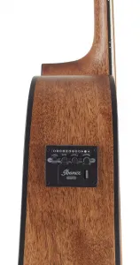 Ibanez AW 65ECE LG