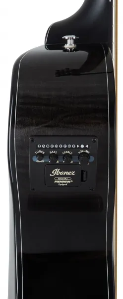 Ibanez AEWC400-TKS