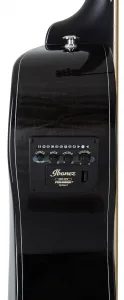Ibanez AEWC400-TKS