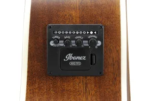 Ibanez AE100-BUF