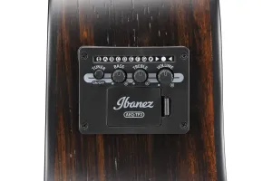 Ibanez AAM70CE-TBN