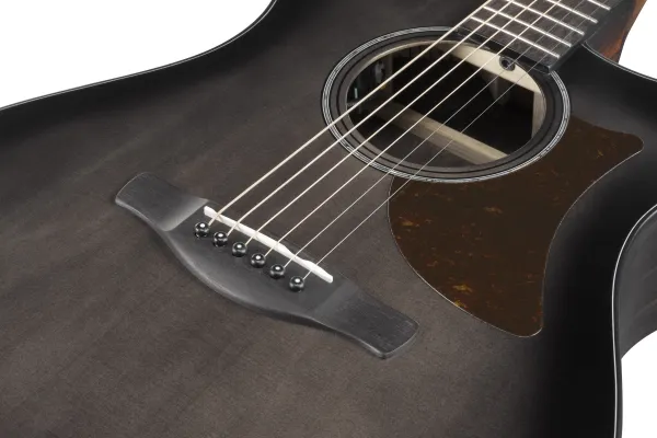Ibanez AAM70CE-TBN