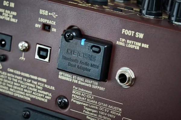 Boss AC-22LX Kombo pre elektroakustické nástroje