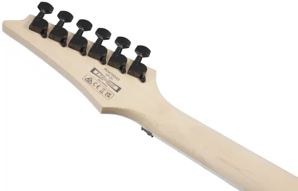Ibanez RG470DX-TMN