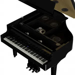 Roland GP-9 PE