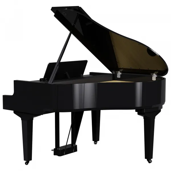 Roland GP-9 PE