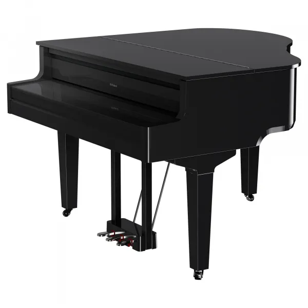 Roland GP-9 PE