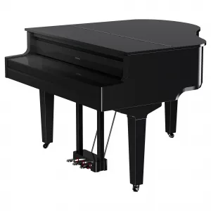 Roland GP-9 PE