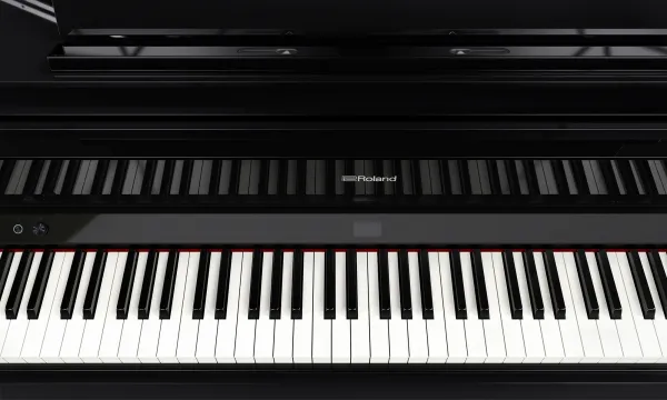 Roland GP-9 PE