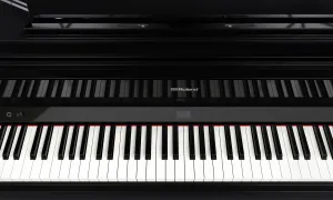 Roland GP-9 PE