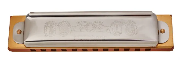 Hohner Marine Band 364/24 D