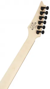 Ibanez RGA42FM-TGF