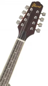 Ibanez M510E-BS