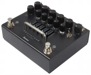 Ibanez PTPRE