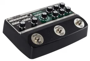 Boss RE-202