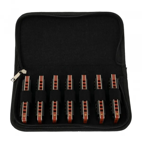 Cascha HH 2224 Professional Blues Set Diatonická ústna harmonika