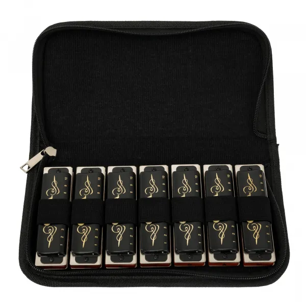 Cascha HH 2224 Professional Blues Set Diatonická ústna harmonika