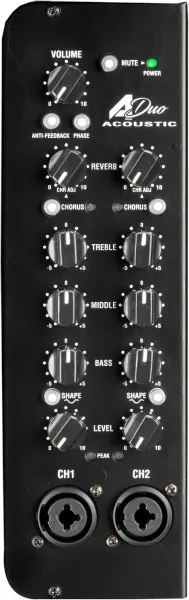 Laney A-DUO