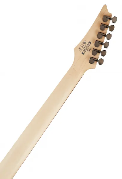 Ibanez RG421-MOL