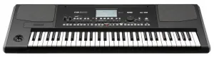 Korg Pa300