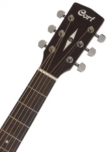 Cort Earth 70 BR