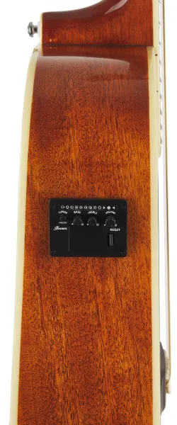Ibanez PF 15ECE NT