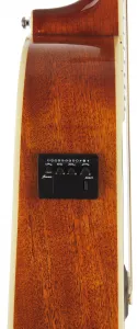 Ibanez PF 15ECE NT