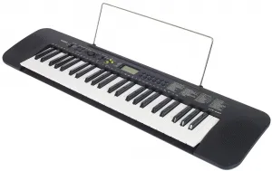 Casio CTK-240