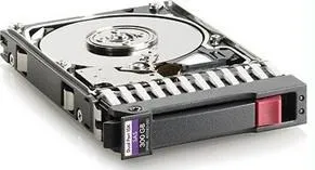 Hewlett Packard Enterprise HP HDD 300G SAS 15k SFF 2.5" HotPlug 6G DP ENT