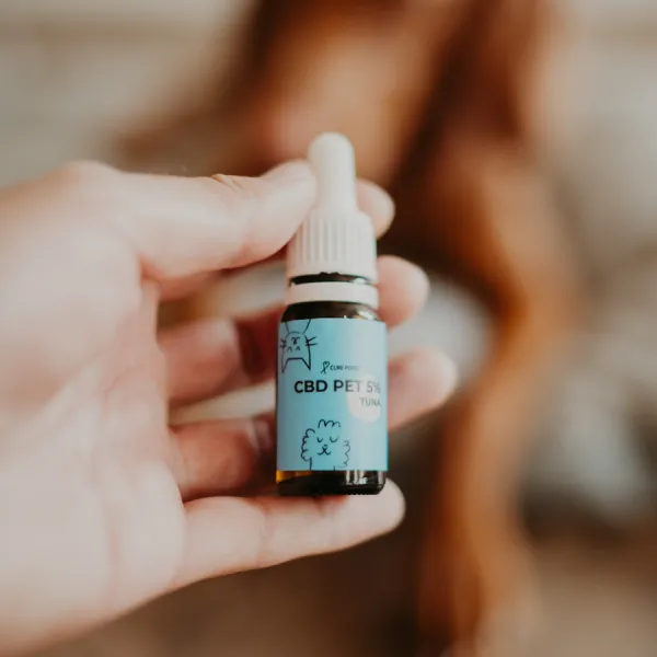 CurePoint CBD olej pre zvieratá tuniak 10 ml