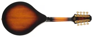 Pilgrim VPMA30
