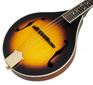 Pilgrim VPMA30