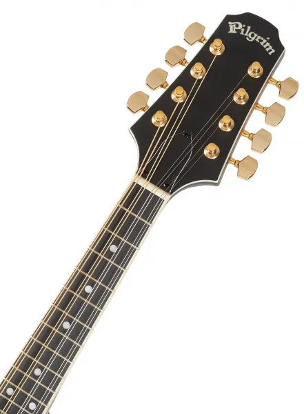 Pilgrim VPMA30