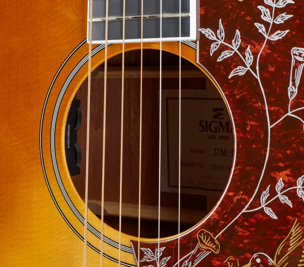 Sigma Guitars DM-SG5
