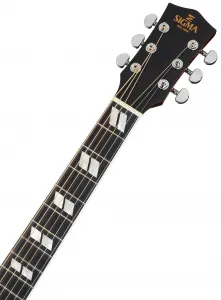 Sigma Guitars DM-SG5