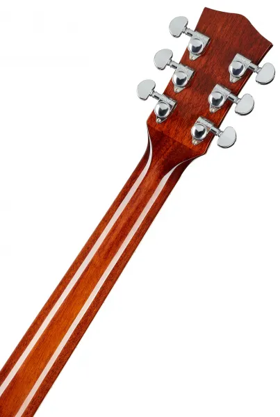 Sigma Guitars DM-SG5